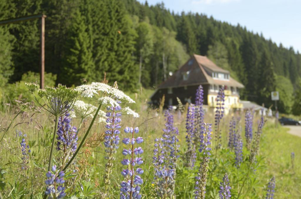 Gasthaus Hotel Loeffelschmiede 펠트베르크 외부 사진