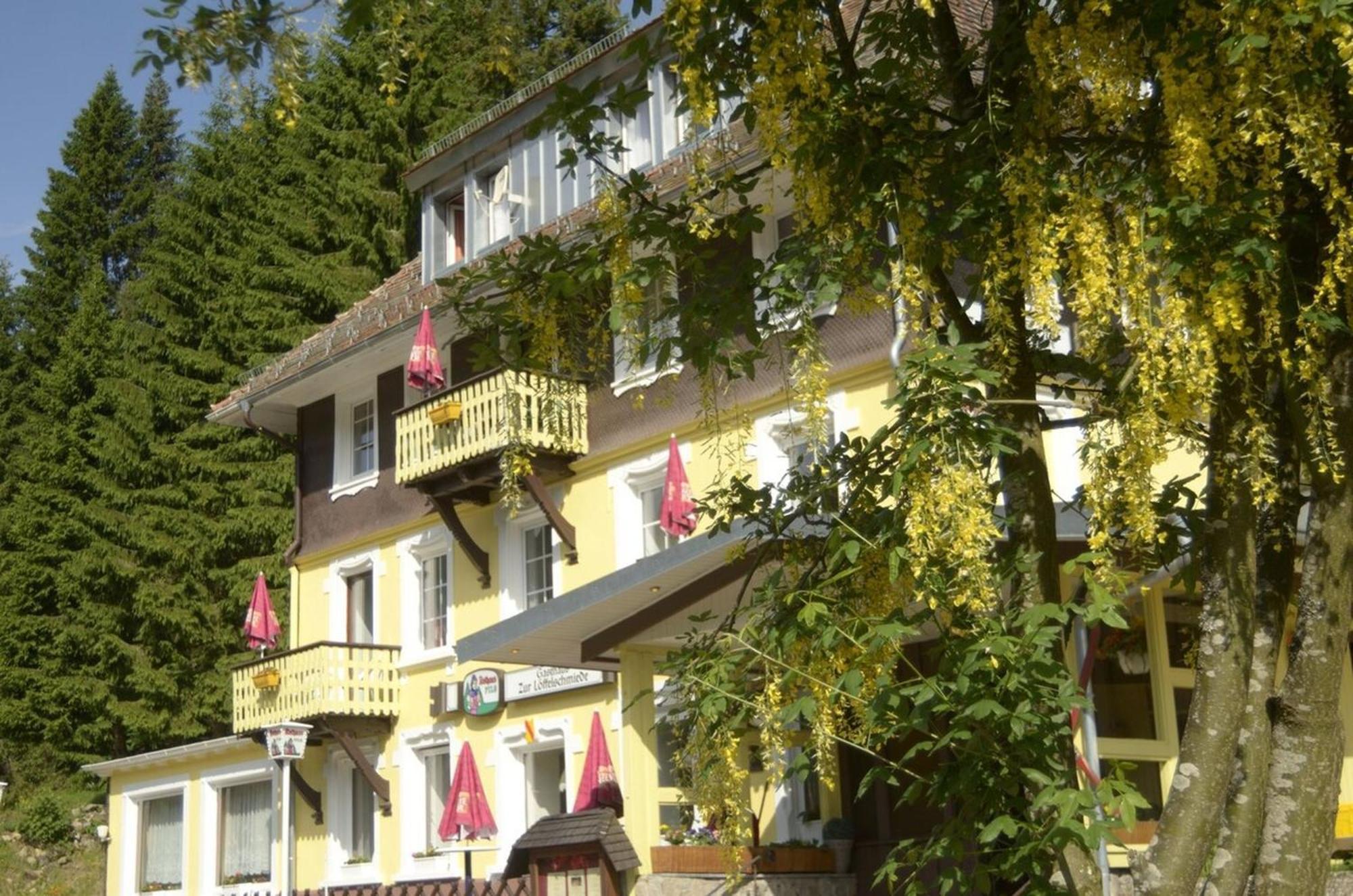 Gasthaus Hotel Loeffelschmiede 펠트베르크 외부 사진